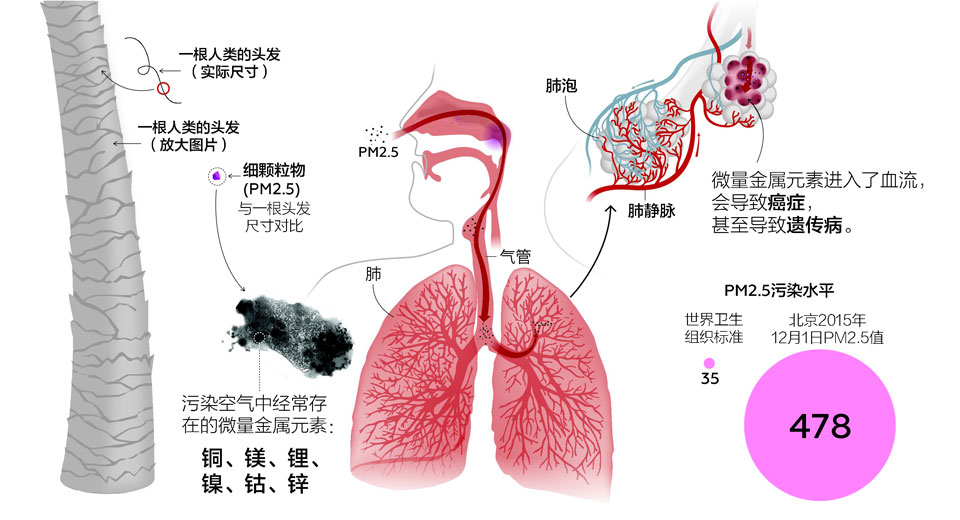 pm25-diagram