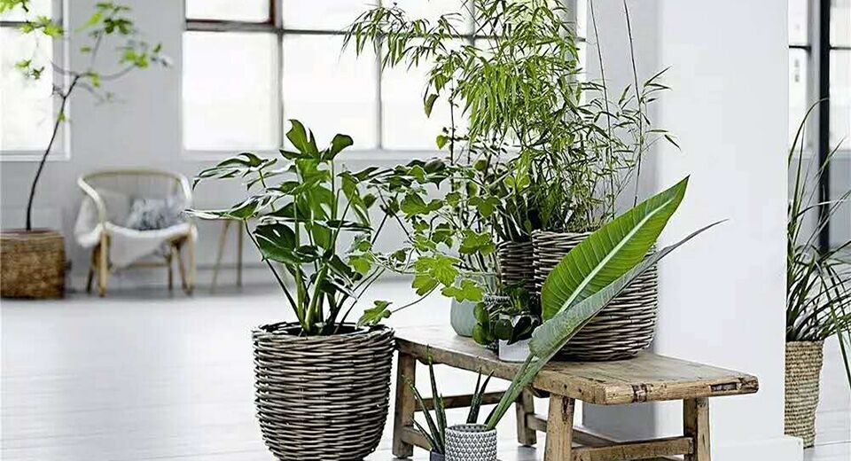 1 有阳光、植物的花园生活才是离你最近的家